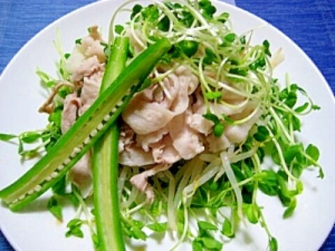 野菜たっぷり！豚しゃぶサラダ